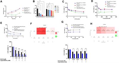 Identification of collateral sensitivity and evolutionary landscape of chemotherapy-induced drug resistance using cellular barcoding technology